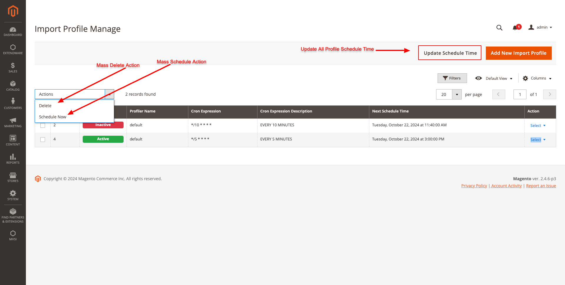 IMPORT PROFILE MANAGE GRID MASS ACTION