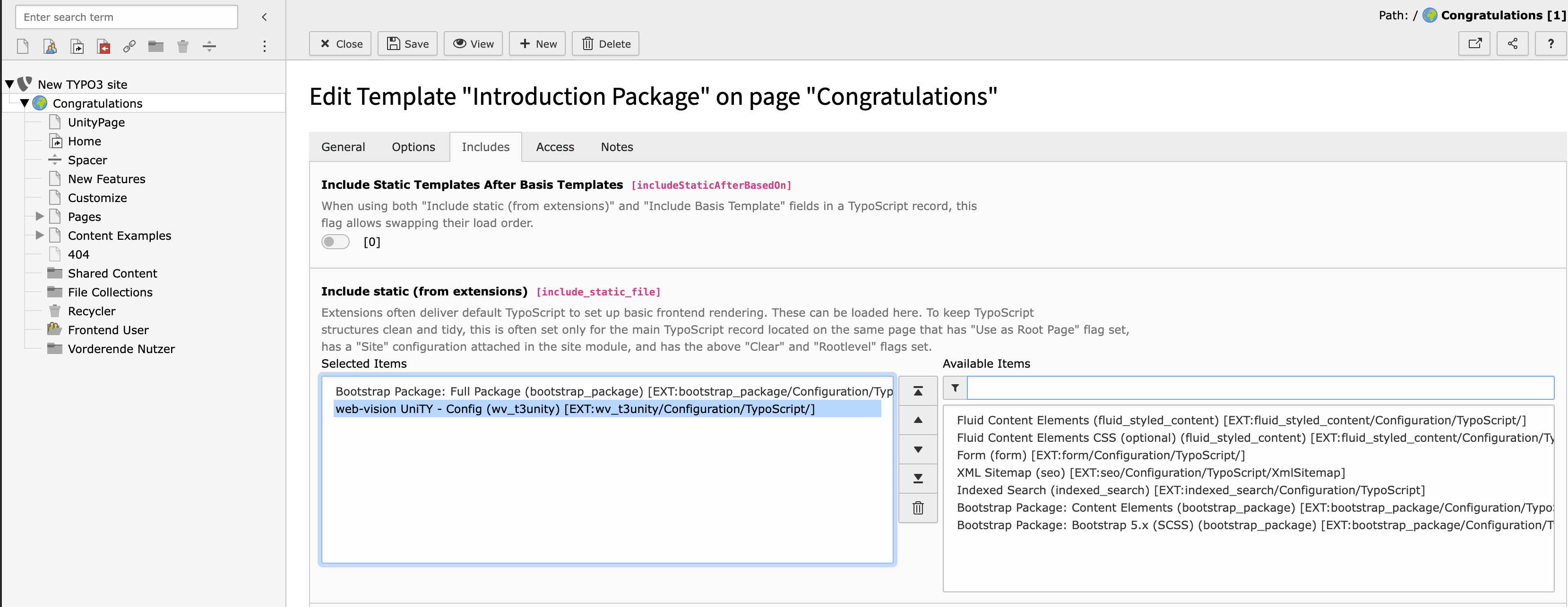 TYPO3 Backend showing the Template module and the include section, with the included Unity Extension on the Left side